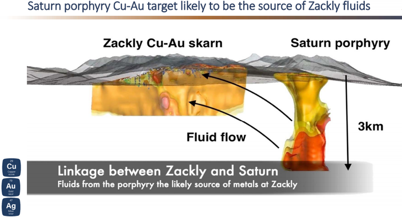Next Investors Image