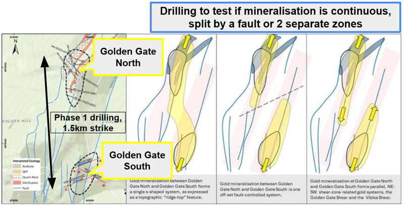 Next Investors Image