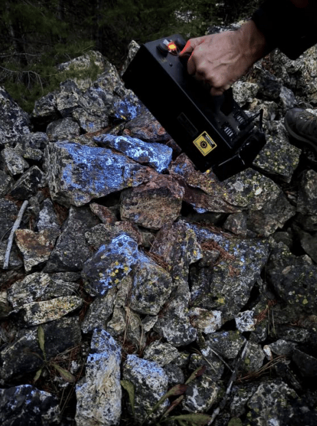 Next Investors Image