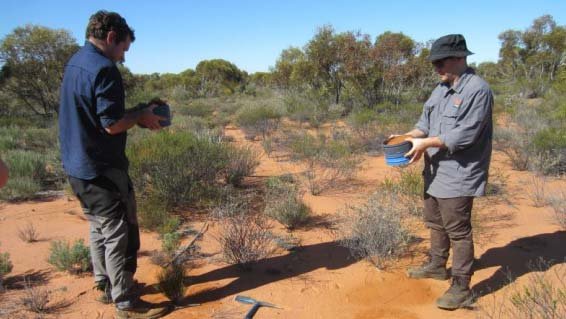 Soil Sampling at E21 Target