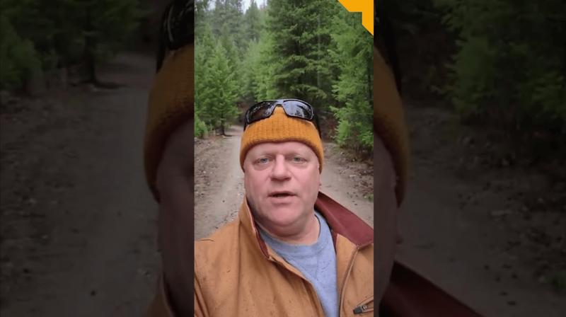 Next Investors Image