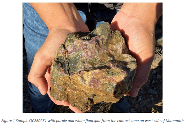 Next Investors Image