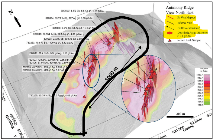 Next Investors Image