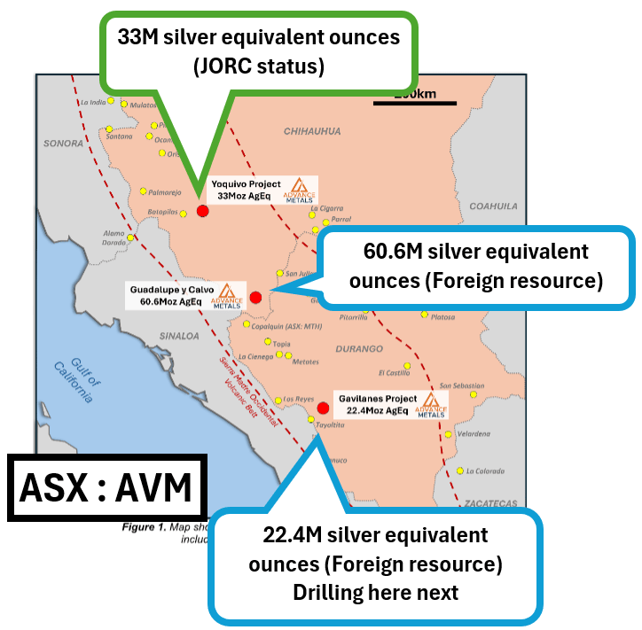 Next Investors Image