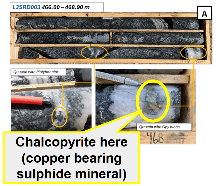 Next Investors Image