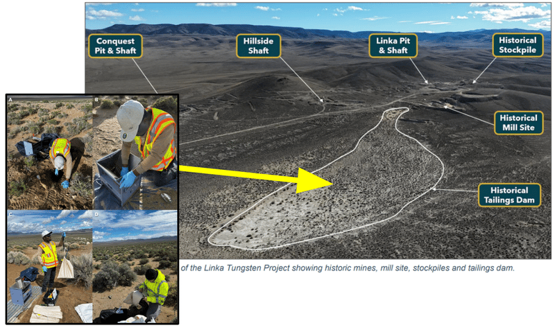 Next Investors Image