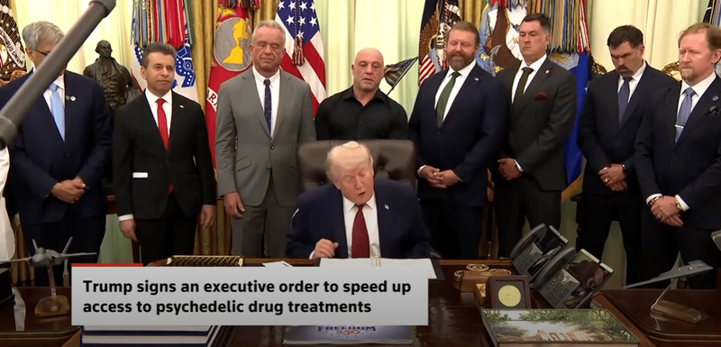 Next Investors Image