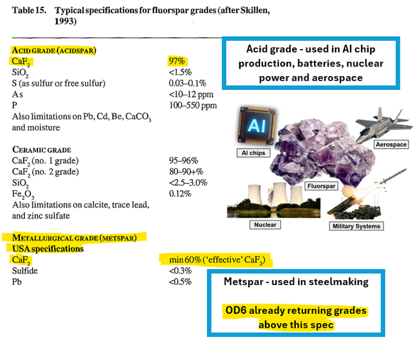 Next Investors Image