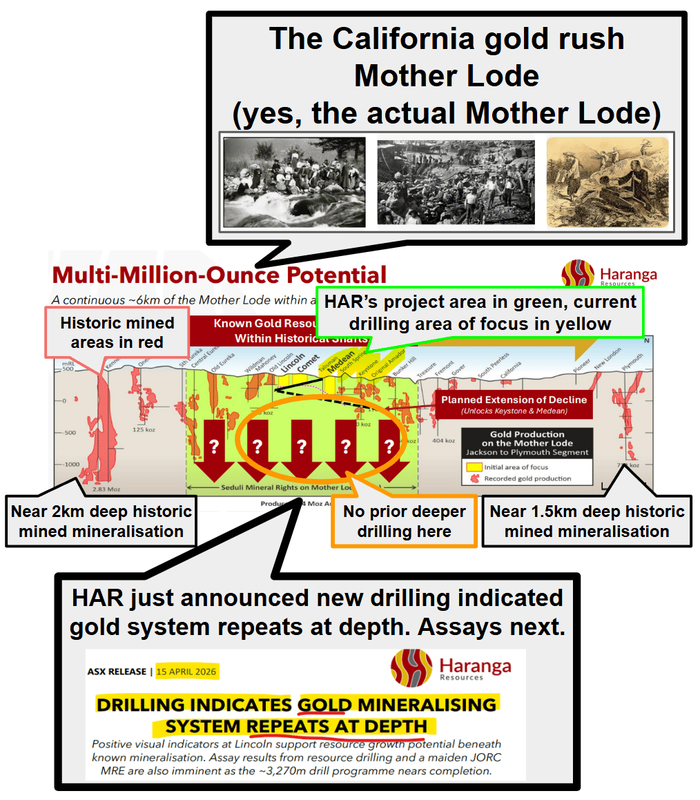 Next Investors Image