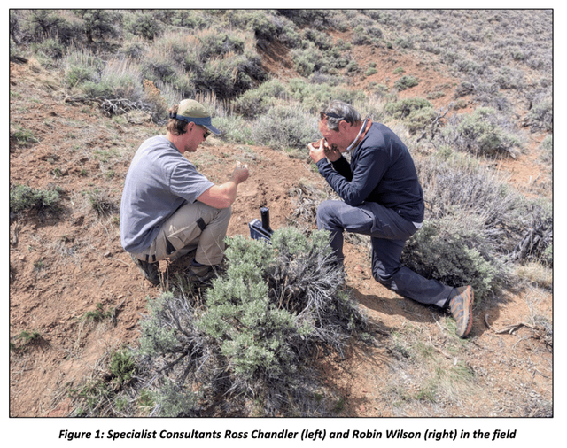 Next Investors Image