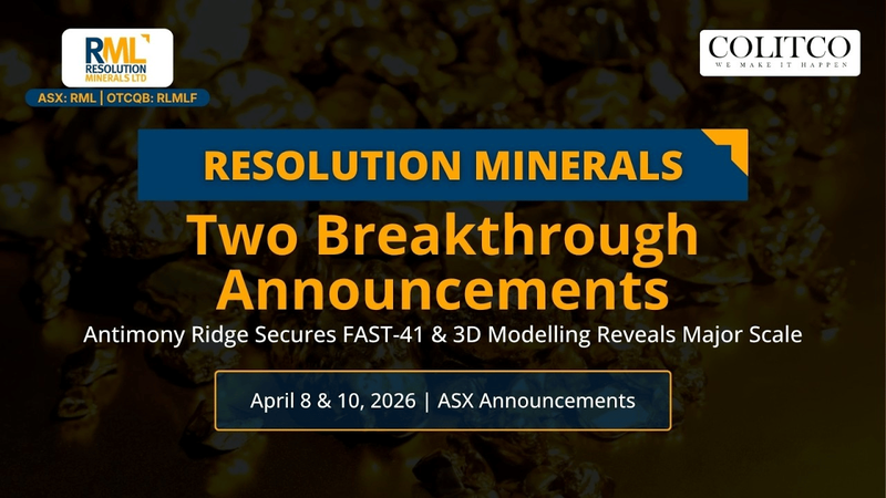 Next Investors Image