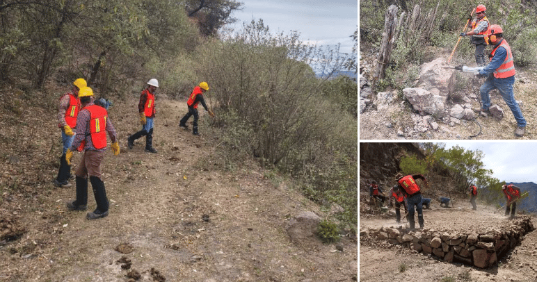 Next Investors Image