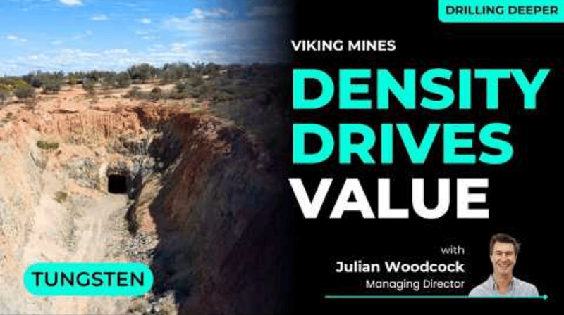 Next Investors Image