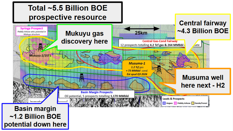 Next Investors Image