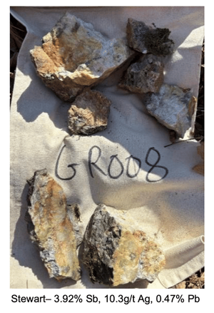 Next Investors Image