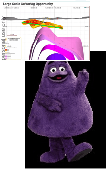 Next Investors Image