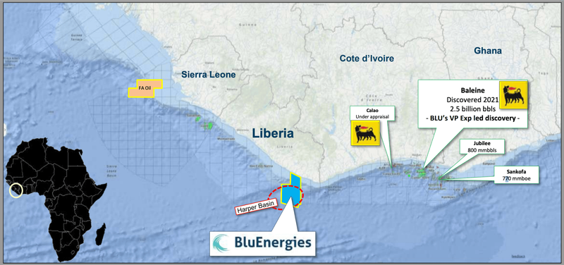 Next Investors Image