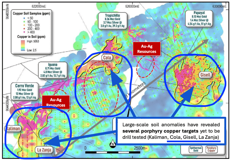 Next Investors Image