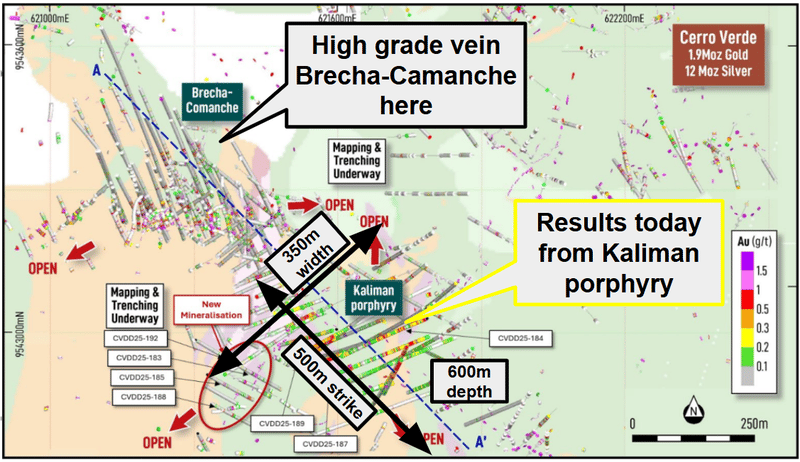 Next Investors Image