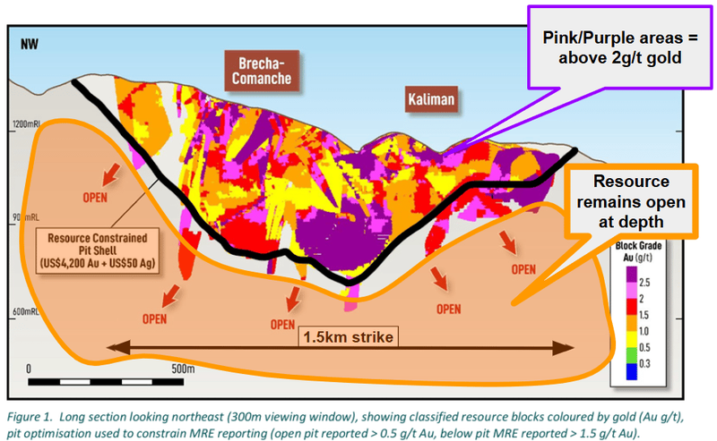 Next Investors Image