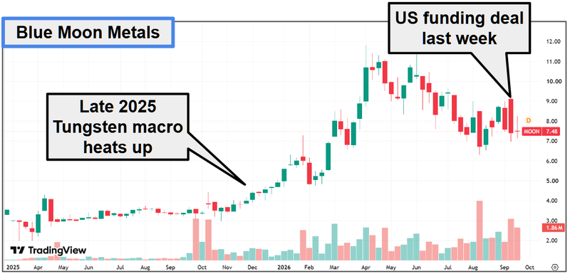 Next Investors Image