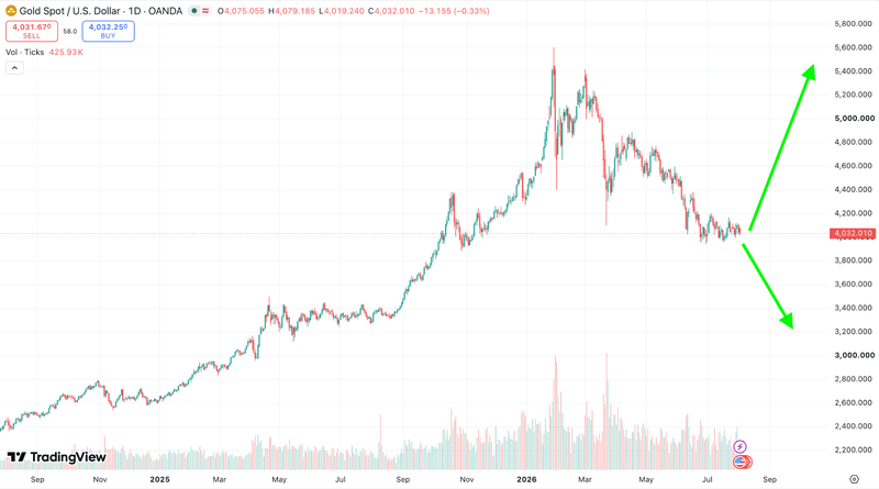 Next Investors Image
