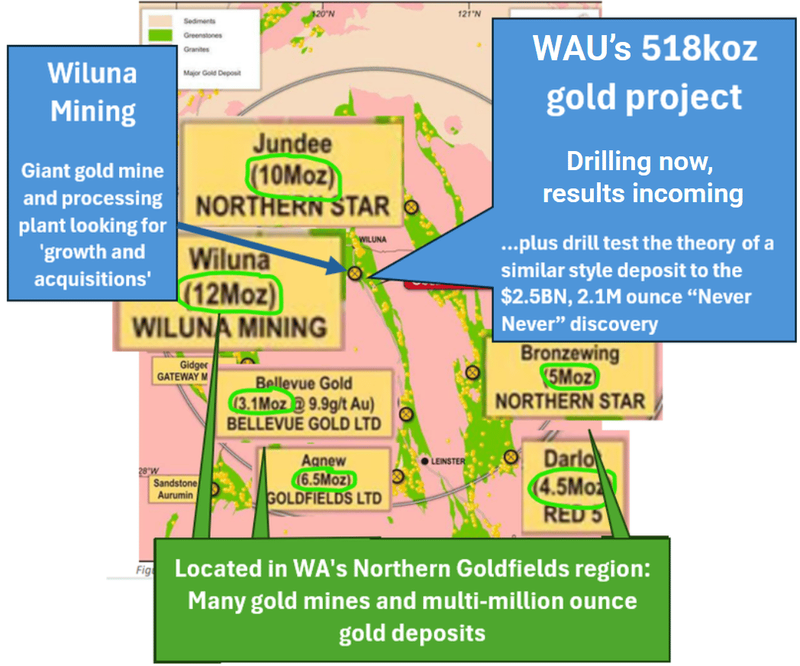 Next Investors Image