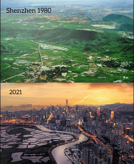 Next Investors Image