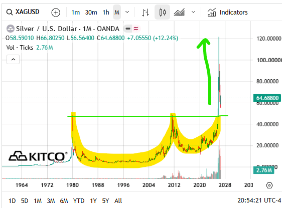 Next Investors Image