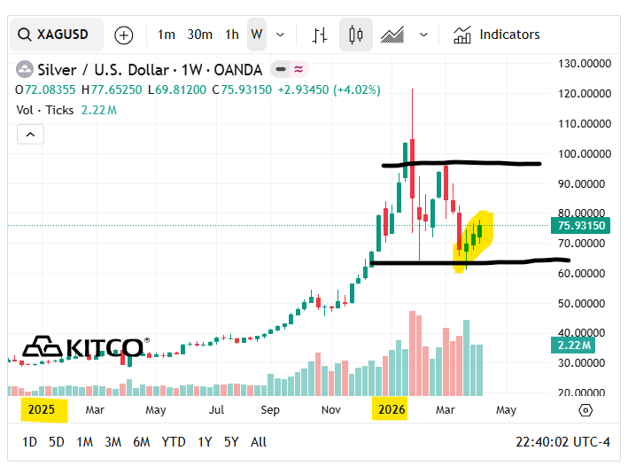 Next Investors Image