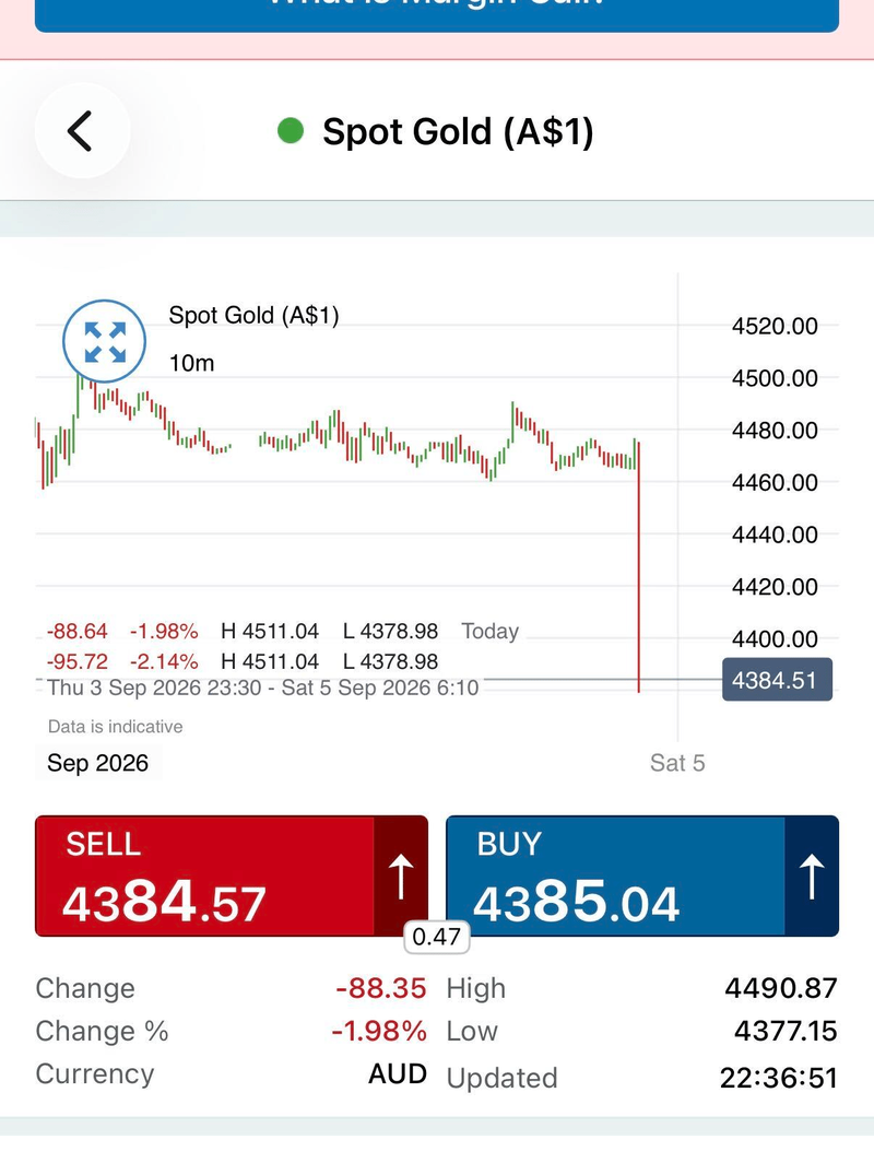 Next Investors Image