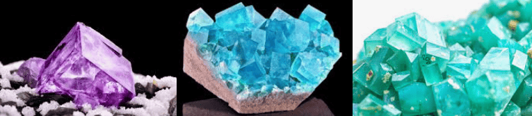 Next Investors Image