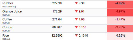 Next Investors Image