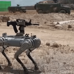 Untitled video (1).gif