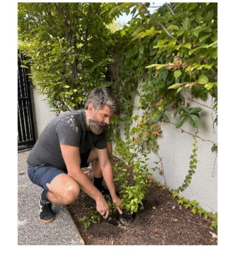 Next Investors Image