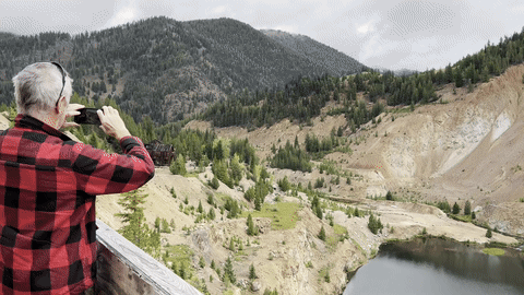 Next Investors Image