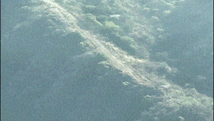 Next Investors Image