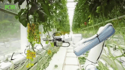 Next Investors Image