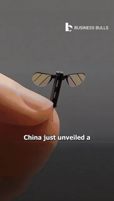 Next Investors Image