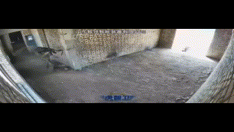 Next Investors Image