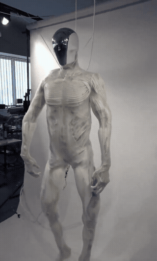 Next Investors Image