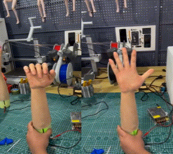 Next Investors Image