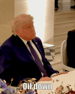 Next Investors Image